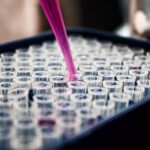 Die wissenschaft hinter dem lästigen geräusch was die schnarchforschung uns verrät