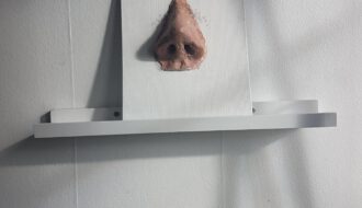 Sind nasendilatatoren die antwort auf deine schnarchprobleme erfahre alles was du wissen musst