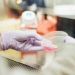 Was steckt wirklich hinter dem schnarchen eine medizinische analyse